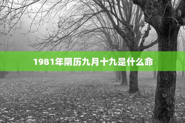 1981年阴历九月十九是什么命