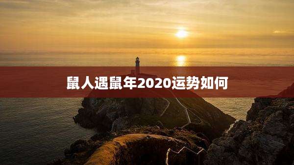 鼠人遇鼠年2020运势如何