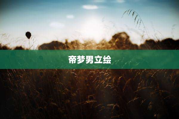 帝梦男立绘