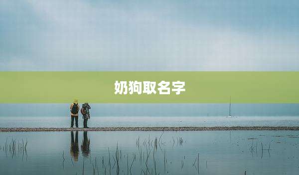 奶狗取名字