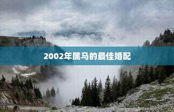 2002年属马的最佳婚配