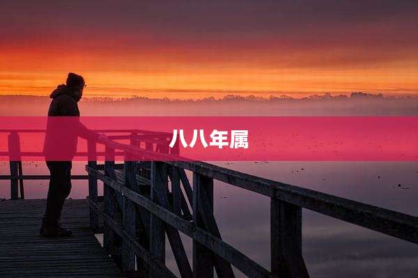八八年属