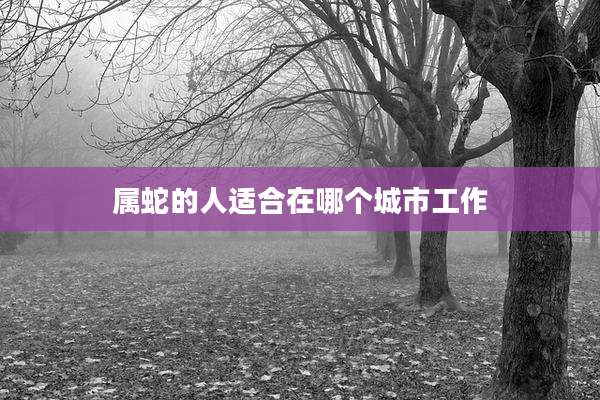 属蛇的人适合在哪个城市工作