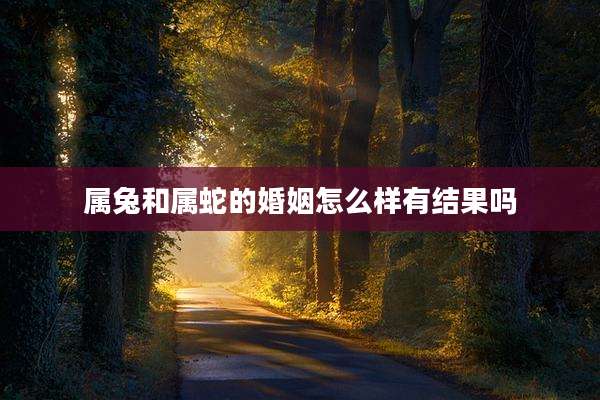 属兔和属蛇的婚姻怎么样有结果吗