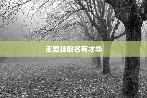 王男孩取名有才华