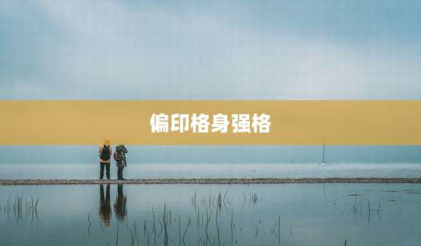 偏印格身强格