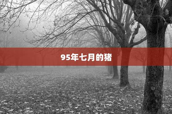 95年七月的猪
