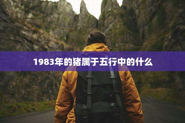 1983年的猪属于五行中的什么