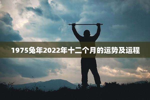 1975兔年2022年十二个月的运势及运程