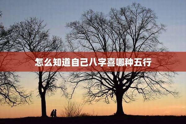 怎么知道自己八字喜哪种五行