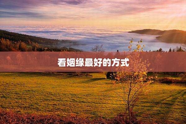看姻缘最好的方式