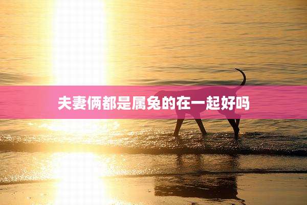 夫妻俩都是属兔的在一起好吗