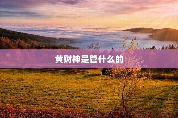 黄财神是管什么的