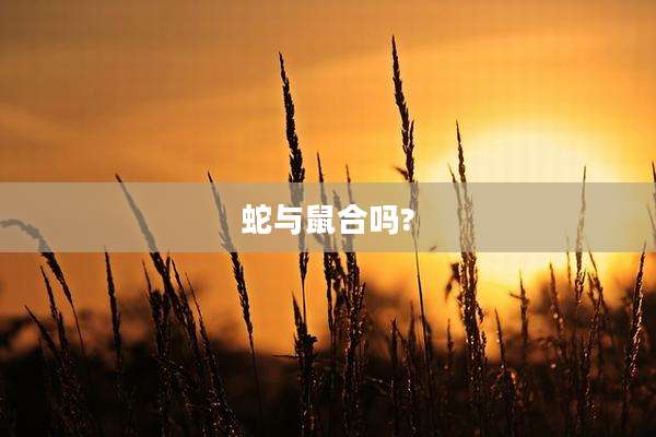 蛇与鼠合吗?
