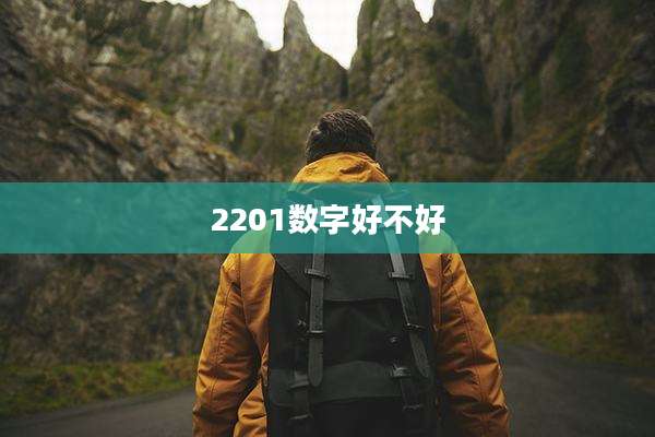 2201数字好不好