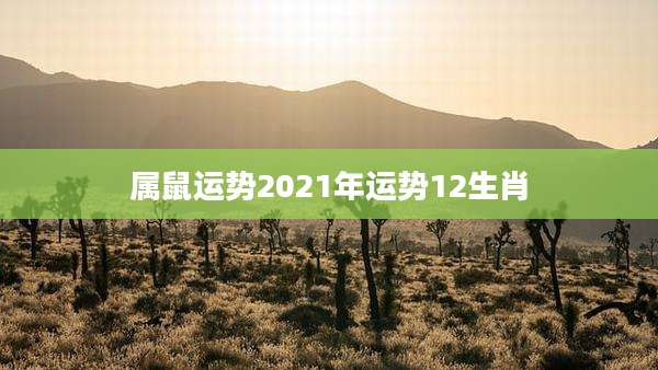 属鼠运势2021年运势12生肖
