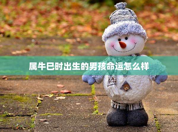 属牛巳时出生的男孩命运怎么样