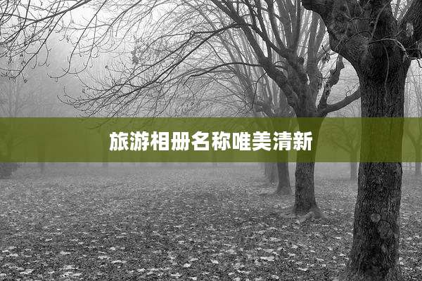 旅游相册名称唯美清新