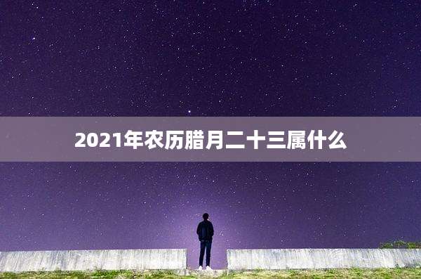 2021年农历腊月二十三属什么