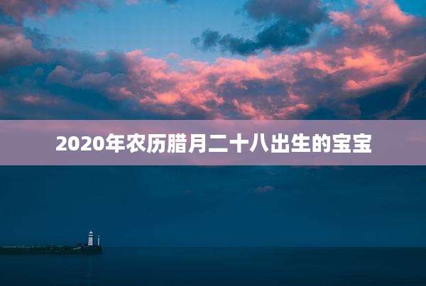 2020年农历腊月二十八出生的宝宝