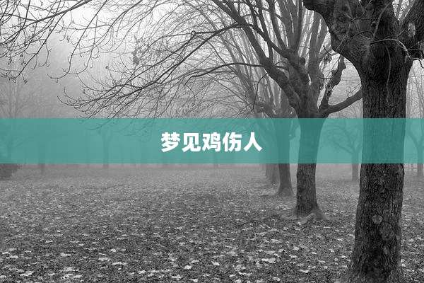 梦见鸡伤人