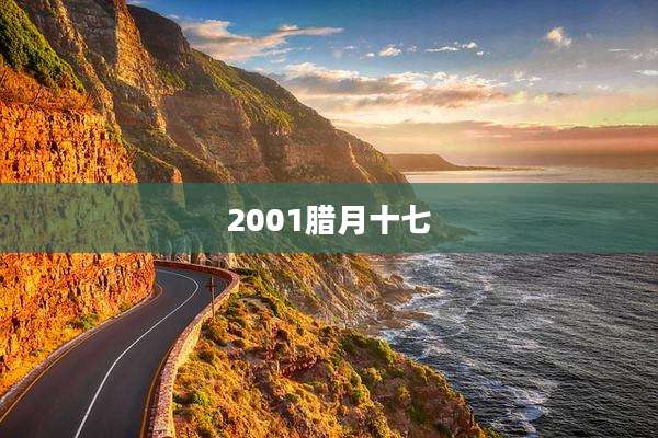 2001腊月十七