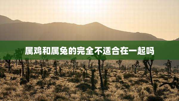 属鸡和属兔的完全不适合在一起吗