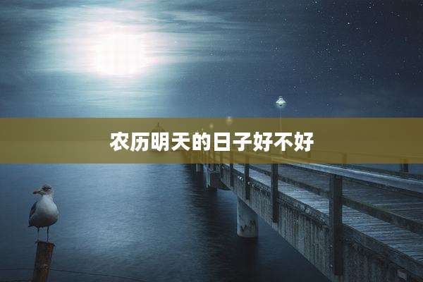 农历明天的日子好不好