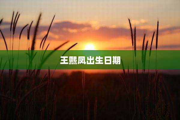 王熙凤出生日期