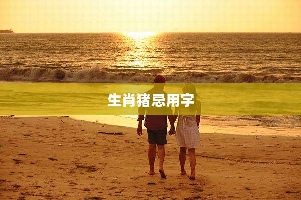 生肖猪忌用字