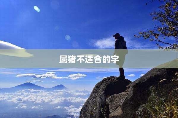 属猪不适合的字
