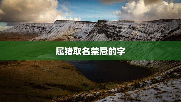 属猪取名禁忌的字