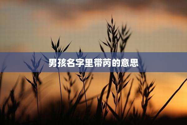 男孩名字里带芮的意思