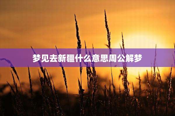 梦见去新疆什么意思周公解梦