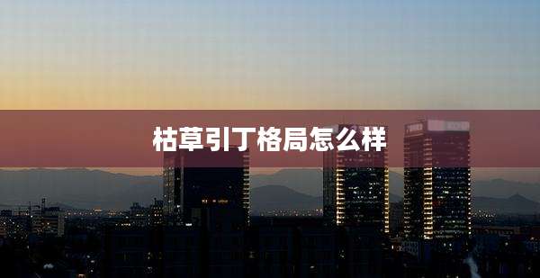 枯草引丁格局怎么样
