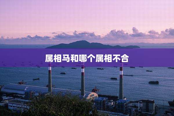 属相马和哪个属相不合
