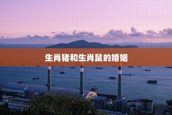 生肖猪和生肖鼠的婚姻