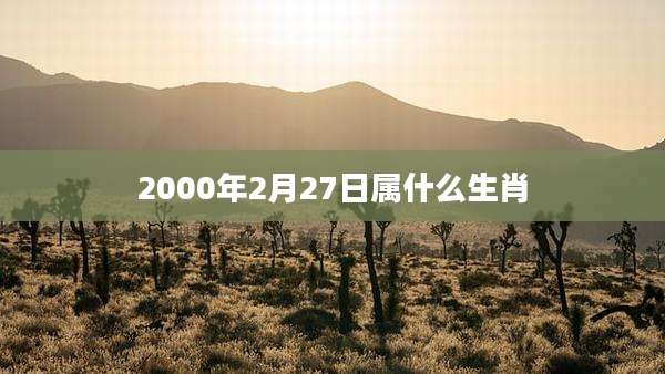 2000年2月27日属什么生肖