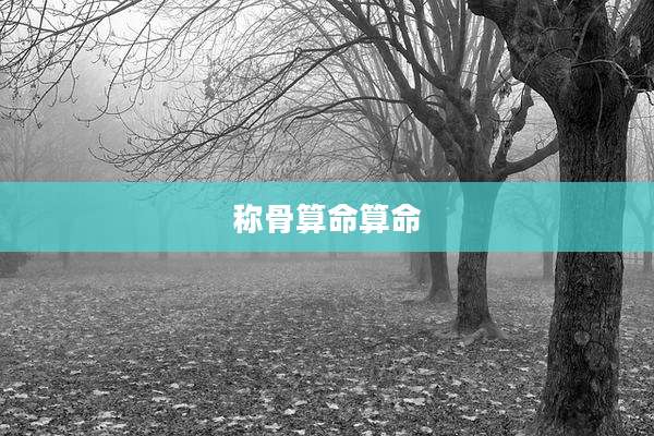 称骨算命算命