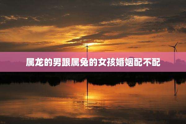 属龙的男跟属兔的女孩婚姻配不配