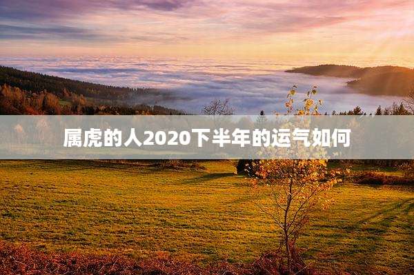 属虎的人2020下半年的运气如何