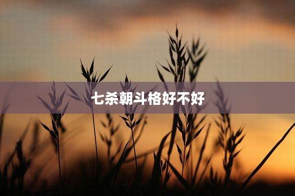七杀朝斗格好不好