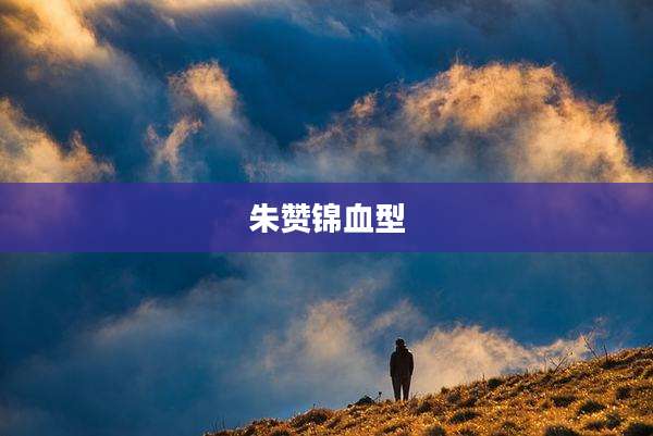 朱赞锦血型