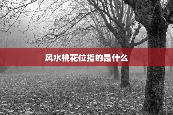 风水桃花位指的是什么