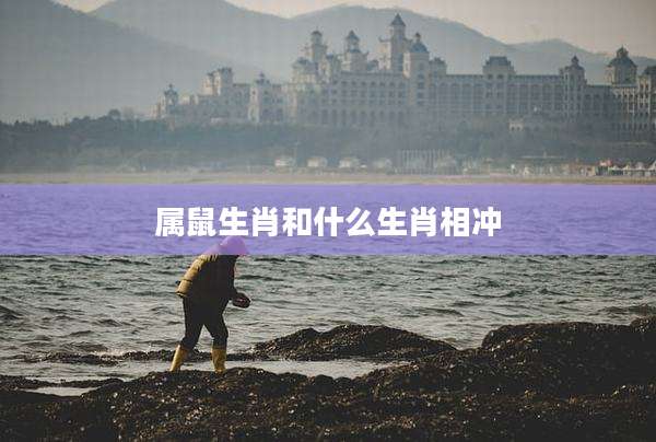 属鼠生肖和什么生肖相冲