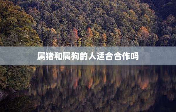 属猪和属狗的人适合合作吗
