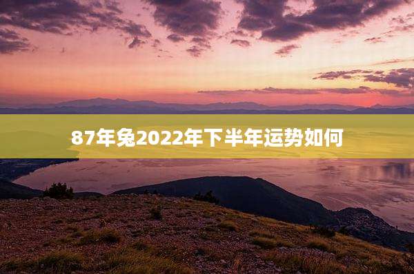 87年兔2022年下半年运势如何