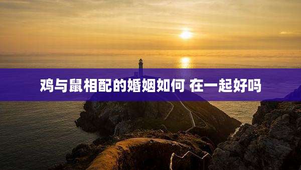 鸡与鼠相配的婚姻如何 在一起好吗
