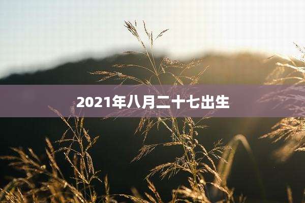 2021年八月二十七出生