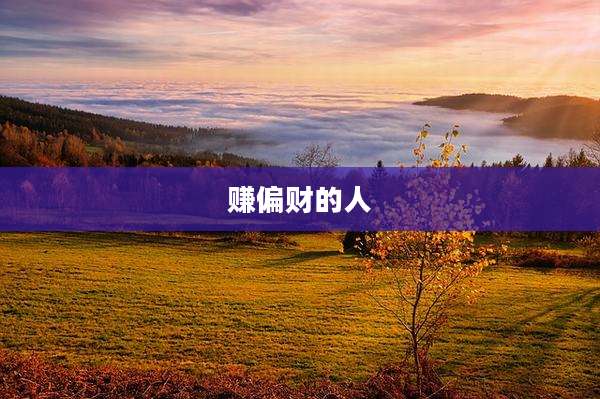 赚偏财的人